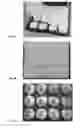 Fig. 08 - Method for Printing and Transfer Onto a Food Item