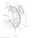 Fig. 02 - Vehicle light assembly and lighting method