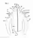 Fig. 02 - Bicycle Signaling System