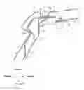 Fig. 01 - Upper vehicle-body structure of vehicle
