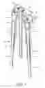 Fig. 06 - TWO-WHEEL SUSPENSION MECHANISM