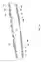 Fig. 06 - Quick installation fuel dam