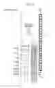 Fig. 06 - Post-processing apparatus and image forming apparatus