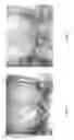 Fig. 06 - INSPECTION OF DEVICES MOUNTED ON AN ELEVATOR