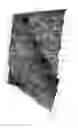 Fig. 08 - Carbon nanotube laminates