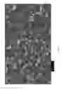 Fig. 33 - Carbon nanotube laminates