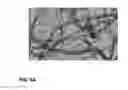 Fig. 10 - Method for making ferrocene-embedded multi-wall carbon nanotubes