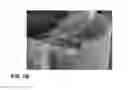 Fig. 14 - Method for making ferrocene-embedded multi-wall carbon nanotubes