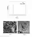 Fig. 02 - Safe and low temperature thermite reaction systems and method to form porous silicon