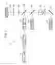 Fig. 02 - Optical glass, optical element and optical device using optical glass