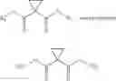 Fig. 07 - Asymmetric Bisamidation of Malonic Ester Derivatives