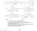 Fig. 04 - U-47700 immunoassay