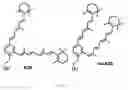 Fig. 02 - Octahydrocyclopentapyrroles, their preparation and use