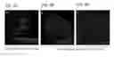 Fig. 08 - Charged ion channel blockers and methods for use
