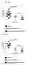 Fig. 09 - Charged ion channel blockers and methods for use