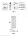 Fig. 06 - Selective matrix metalloproteinase inhibitors