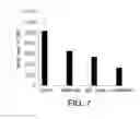 Fig. 08 - COMPOSITIONS, FORMULATIONS AND METHODS FOR TREATING OCULAR DISEASES