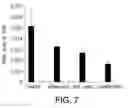 Fig. 08 - COMPOSITIONS, FORMULATIONS AND METHODS FOR TREATING OCULAR DISEASES