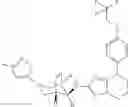 Fig. 136 - Bridged piperidine derivatives