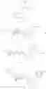 Fig. 32 - Bridged piperidine derivatives
