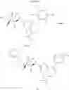 Fig. 33 - Bridged piperidine derivatives