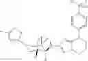 Fig. 41 - Bridged piperidine derivatives