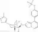 Fig. 49 - Bridged piperidine derivatives