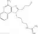Fig. 25 - Guanidine substituted imidazo[4,5-c] ring compounds