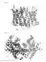 Fig. 03 - Therapeutic compounds