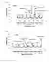 Fig. 05 - Therapeutic compounds