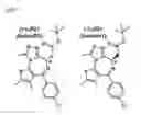 Fig. 02 - Compositions and methods for treating neoplasia, inflammatory disease and other disorders