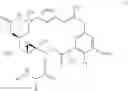 Fig. 95 - Amino acid acylation reagents and methods of using the same