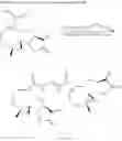Fig. 44 - Melampomagnolide B dimers
