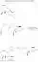 Fig. 45 - Melampomagnolide B dimers