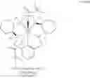 Fig. 22 - Pentaaza macrocyclic ring complexes possessing oral bioavailability
