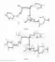 Fig. 07 - Preparation Method of Nucleoside Phosphoramidate Prodrugs and Intermediates Thereof
