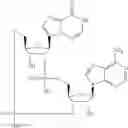 Fig. 596 - Cyclic di-nucleotide compounds as sting agonists