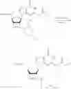Fig. 613 - Cyclic di-nucleotide compounds as sting agonists