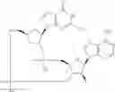Fig. 749 - Cyclic di-nucleotide compounds as sting agonists