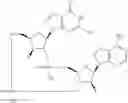 Fig. 751 - Cyclic di-nucleotide compounds as sting agonists