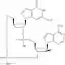 Fig. 769 - Cyclic di-nucleotide compounds as sting agonists