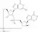 Fig. 892 - Cyclic di-nucleotide compounds as sting agonists