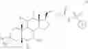 Fig. 146 - Bile acid derivatives as FXR agonists and methods of use thereof