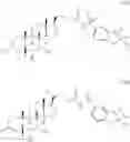 Fig. 25 - Bile acid derivatives as FXR agonists and methods of use thereof