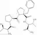 Fig. 24 - NMDA RECEPTOR MODULATORS AND USES THEREOF