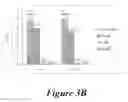 Fig. 06 - Peptide conjugates