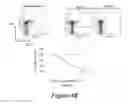 Fig. 09 - Peptide conjugates
