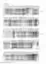 Fig. 05 - Cell-permeable bone morphogenetic protein (CP-BMP) recombinant protein and use thereof