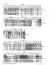 Fig. 07 - Cell-permeable bone morphogenetic protein (CP-BMP) recombinant protein and use thereof