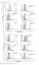 Fig. 28 - Cell-permeable bone morphogenetic protein (CP-BMP) recombinant protein and use thereof